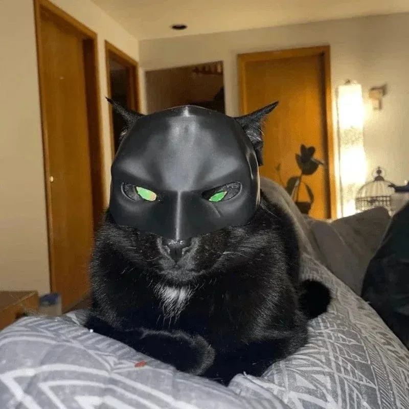 Máscara de Gato Vingador Impre - 3D Printing Foto avaliação e preço